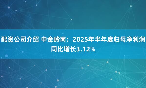 配资公司介绍 中金岭南：2025年半年度归母净利润同比增长3.12%