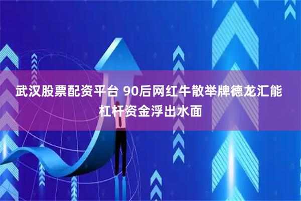 武汉股票配资平台 90后网红牛散举牌德龙汇能 杠杆资金浮出水面